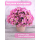 Петуния каскадная искусственная