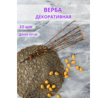 Пасхальные ветки вербы для декора и поделок