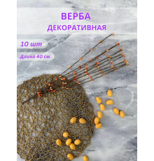 Пасхальные ветки вербы для декора и поделок