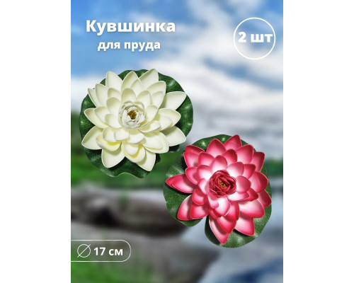 Кувшинка для водоема плавающая 17 см