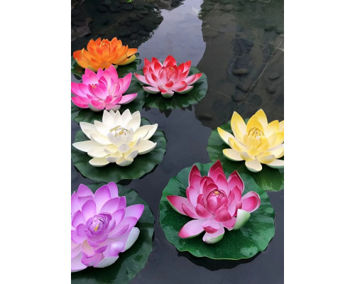 Кувшинка для пруда плавающая 17 см