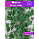 Лиана искусственная на стену плющ декоративный 12 нитей